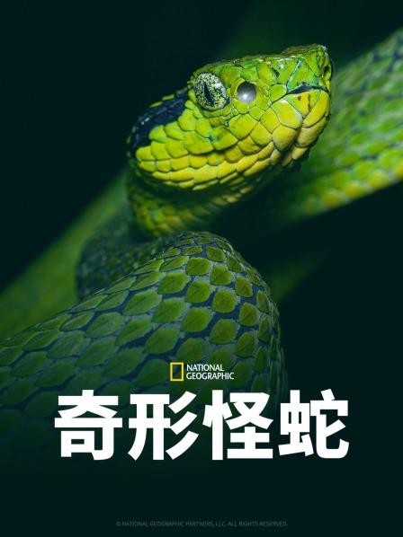 黑料社网站《奇形怪蛇》免费在线观看